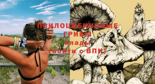 соль ск Балабаново