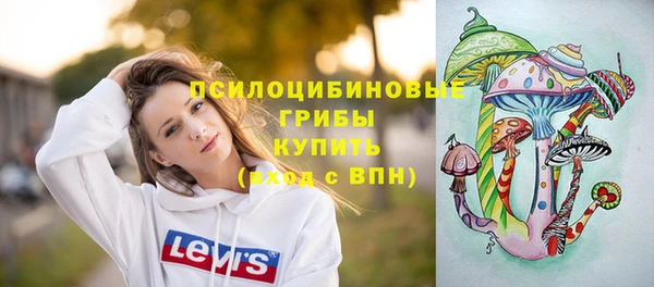 соль ск Балабаново