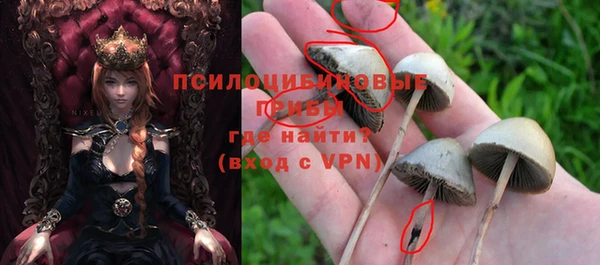 каннабис Баксан