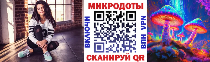 Псилоцибиновые грибы Psilocybe  Белово 